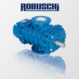 ROBUSCHI